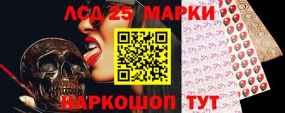 гидропоника Сланцы