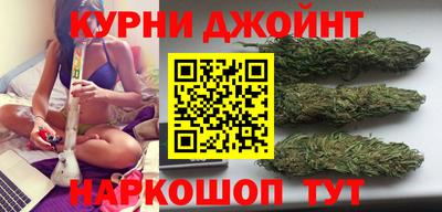 гидропоника Сланцы