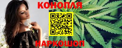 гидропоника Сланцы