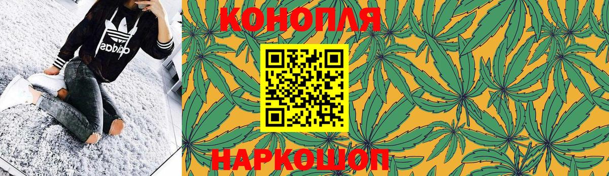 Бошки Шишки ГИДРОПОН Пугачёв